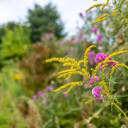 بيت للعطل Dahlienhof فيتينبيرغ