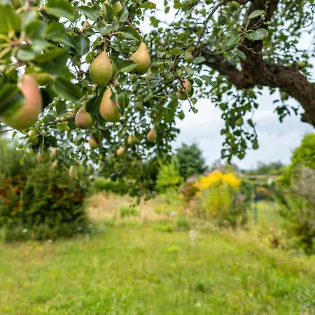 بيت للعطل Dahlienhof