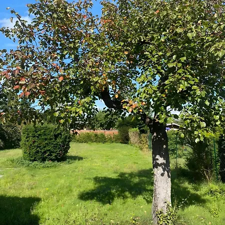Nyaraló Dahlienhof Wittenberge