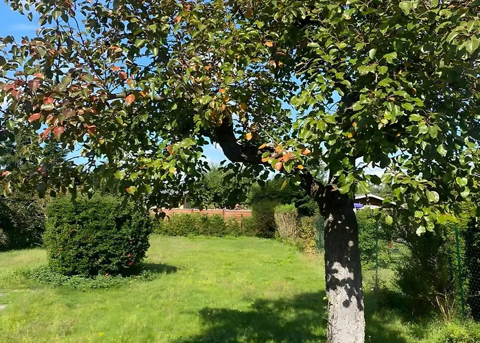 بيت للعطل Dahlienhof