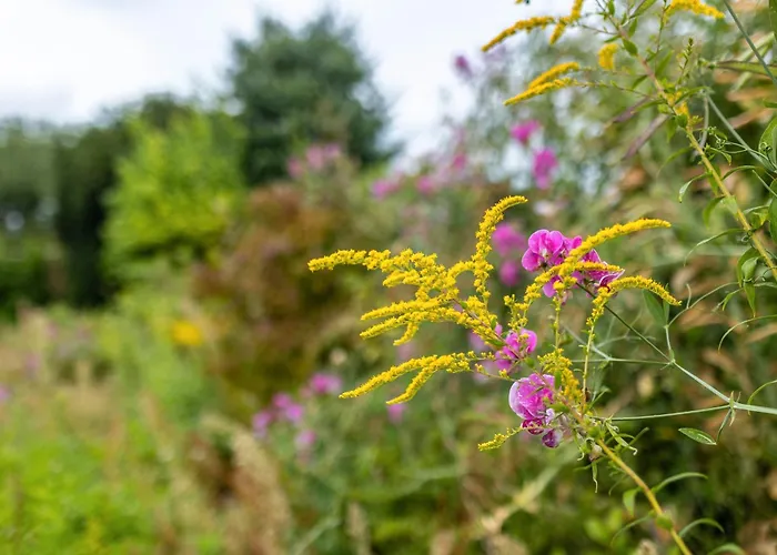 بيت للعطل Dahlienhof فيتينبيرغ