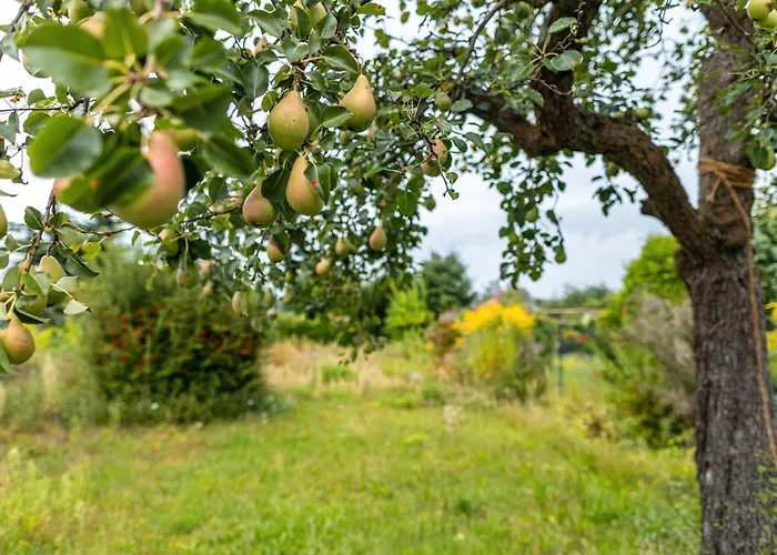بيت للعطل Dahlienhof